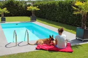Traumhund® Picknick: Outdoordecke und Tasche Schwarz Rot mit Malinois am Pool