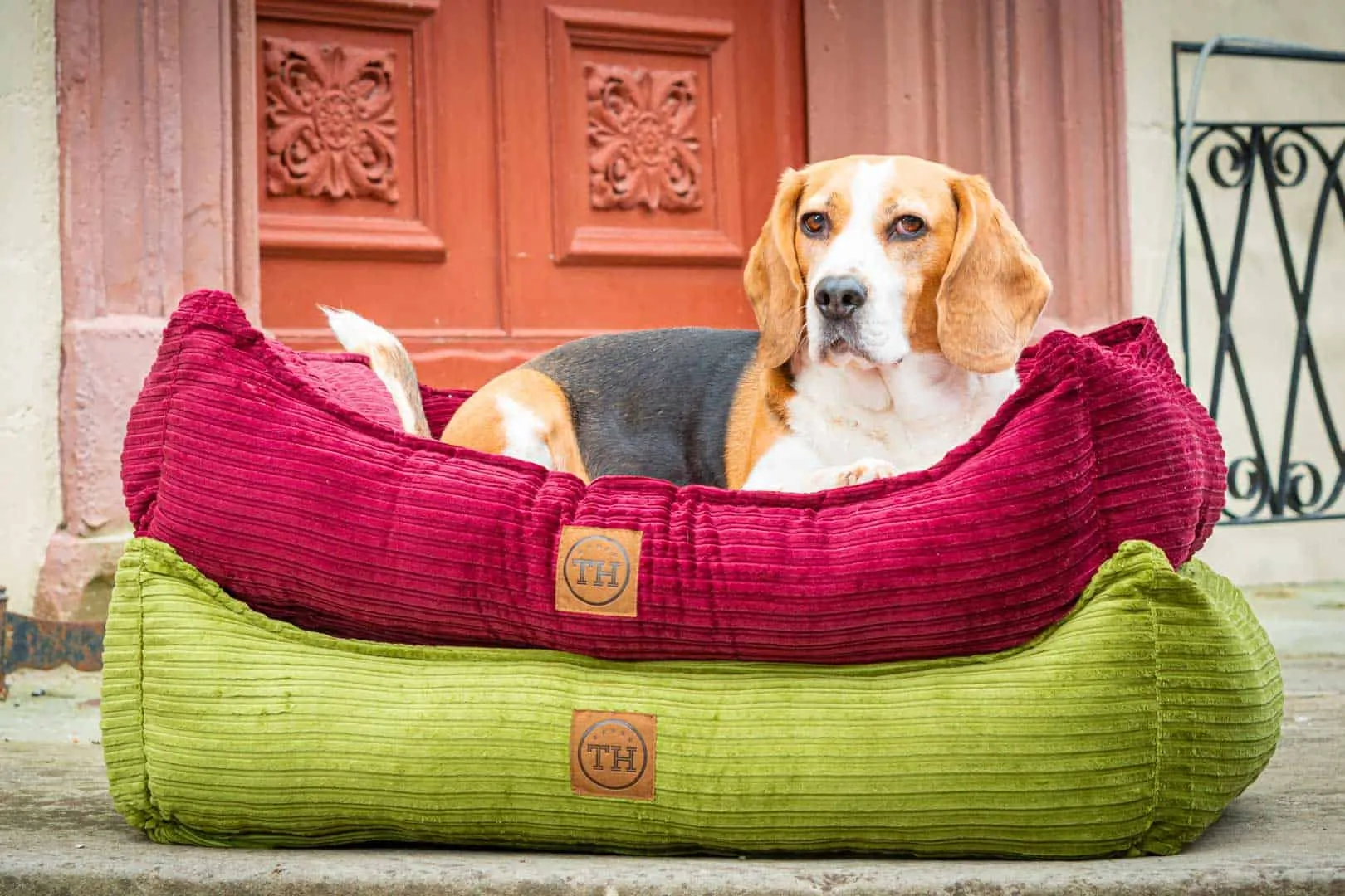 Hundebett Boheme Farbübersicht mit Beagle