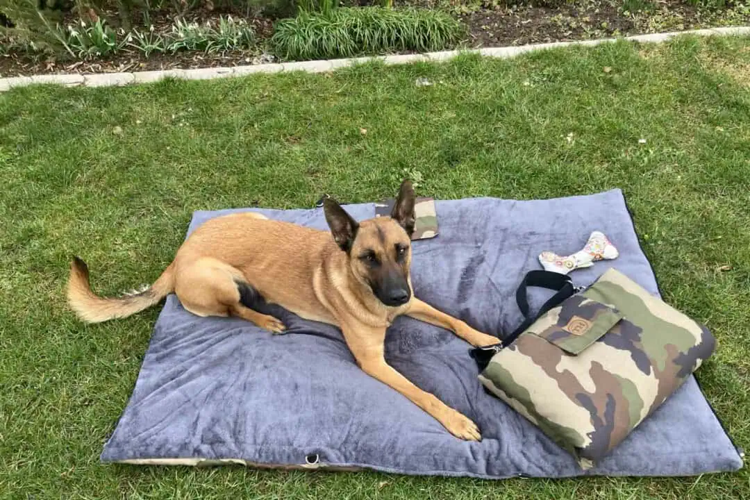 Picknick-Outdoordecke Adventure Camouflage mit Malinois auf Rasen