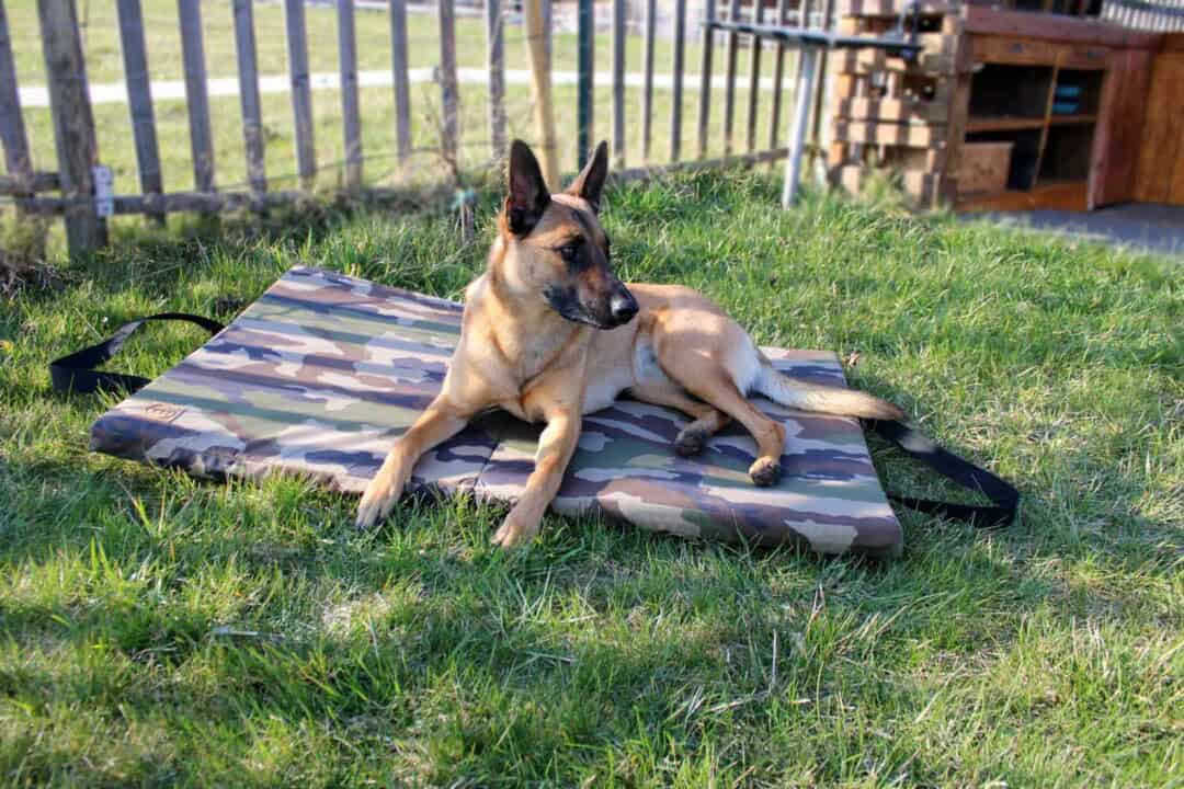 Reise-Klappmatratze Adventure Camouflage mit Malinois auf Rasen