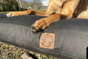 Hundekissen Gentleman mit Malinois im Detail