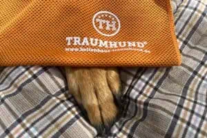 Ice Towel von Traumhund mit Malinois auf Hundedecke Cottage Beige Rose